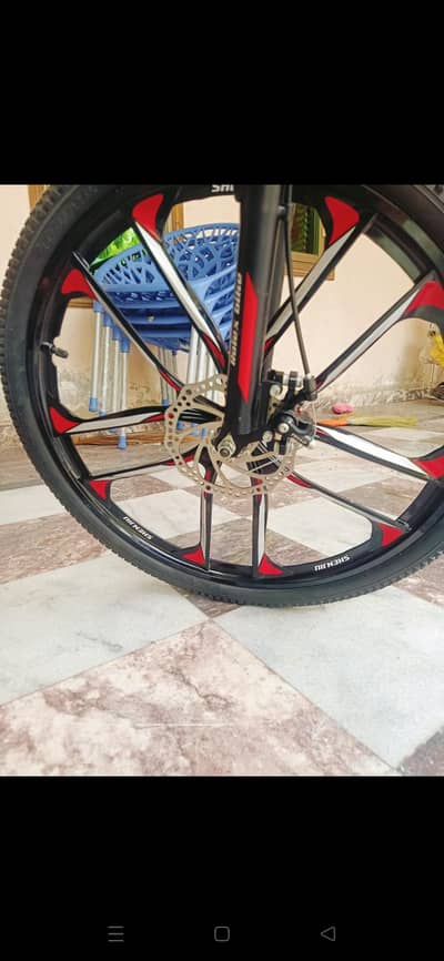 Rolex cycle