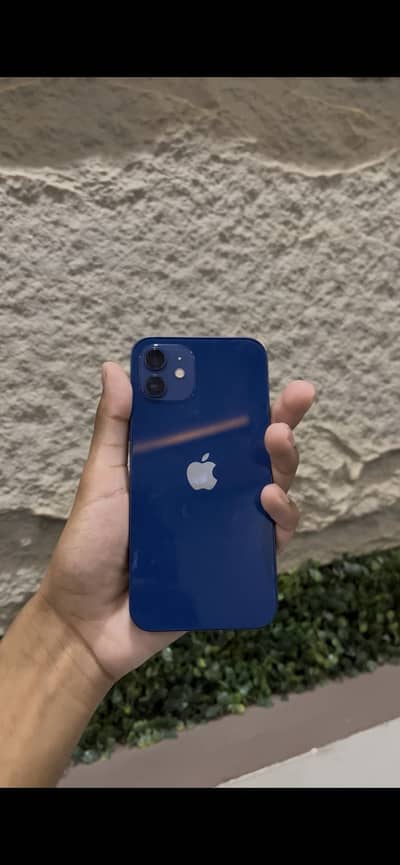 iPhone 12 dual sim pta approved