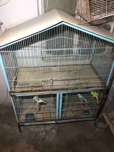 3 portion cage for sale
