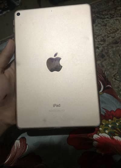 ipad mini 5