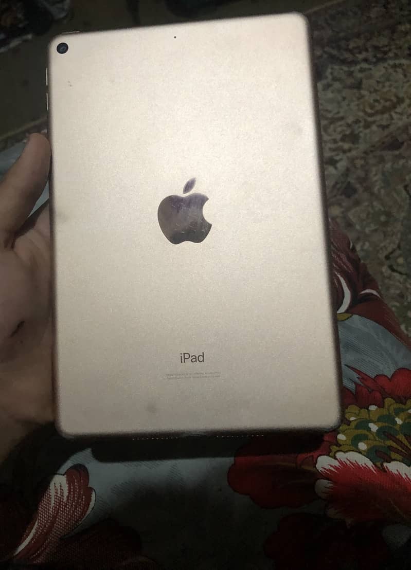 ipad mini 5 0