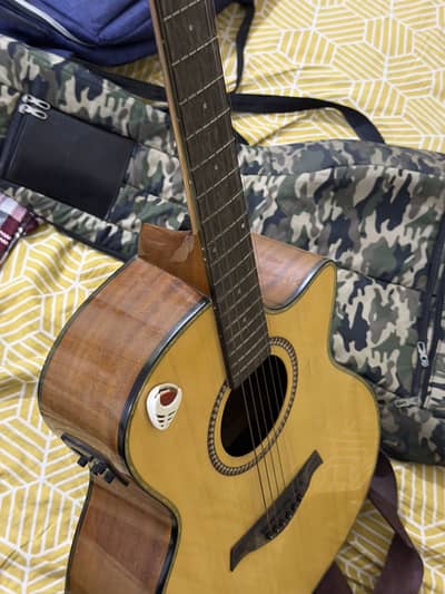 JM Forest semi acoustic Guitar