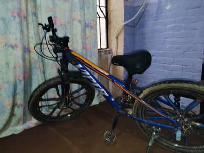 Mountain Bicycle