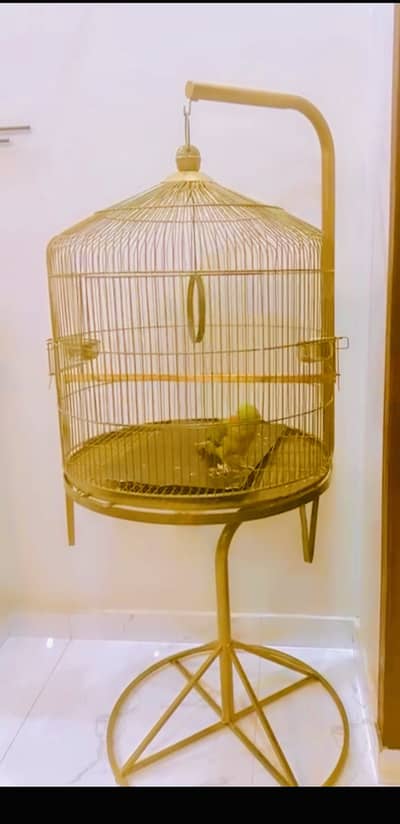 cage for macaw cockatoo raw grey parrot