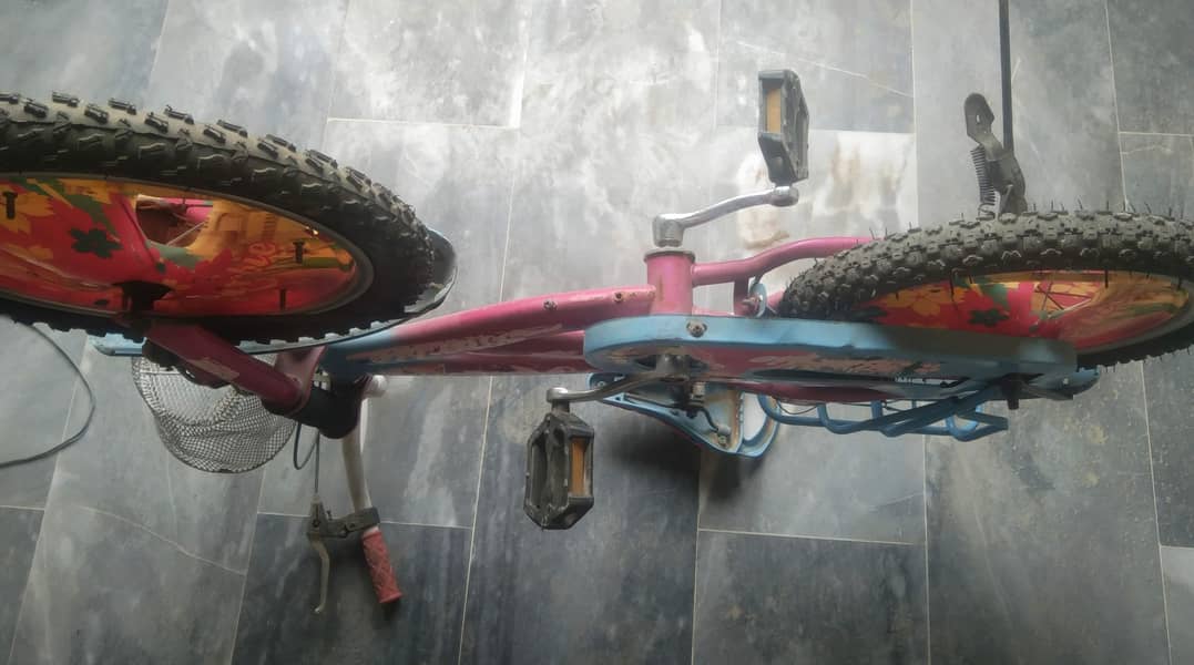 bicycle 2