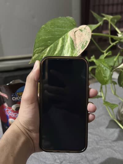I phone 13