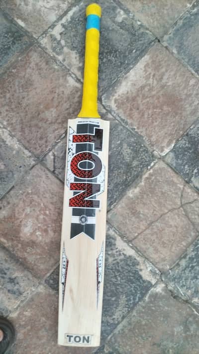 English Willow Export Lot