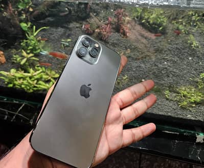 iPhone 13 Pro Max 256 gb factory unlocked