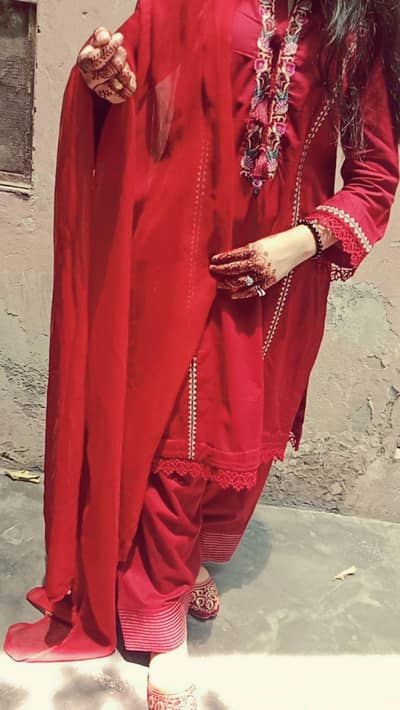 fully Embroidery dress