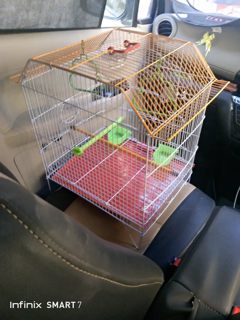 Small cage for birds