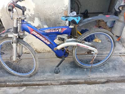 Morgan Buffalo Kid Cycle