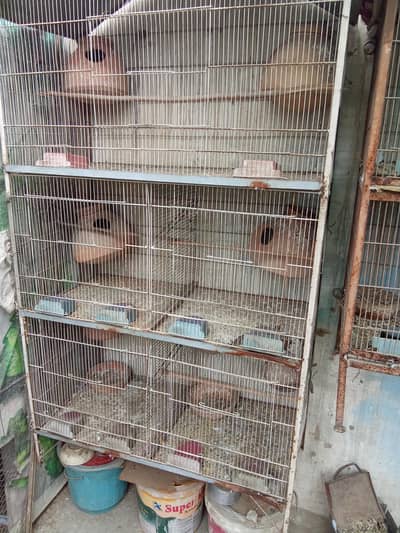 5 portion cage like new