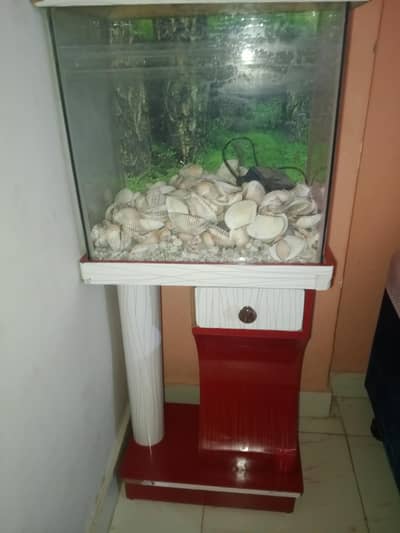 Aquarium