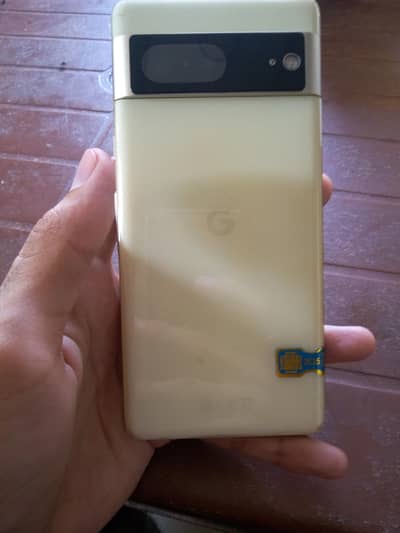 Google Pixel 7 official Pta approved