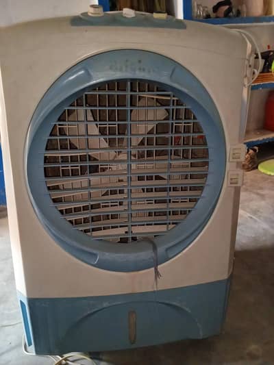 use cooler urgent sale