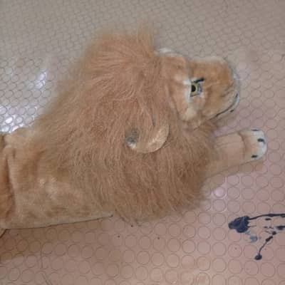 lion vida xi