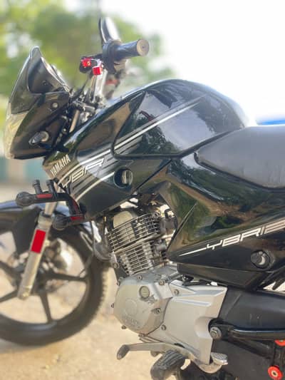 Yamaha YBR 2016 03305696452