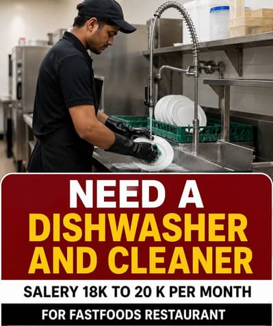 Need a dishwasher/cleaner