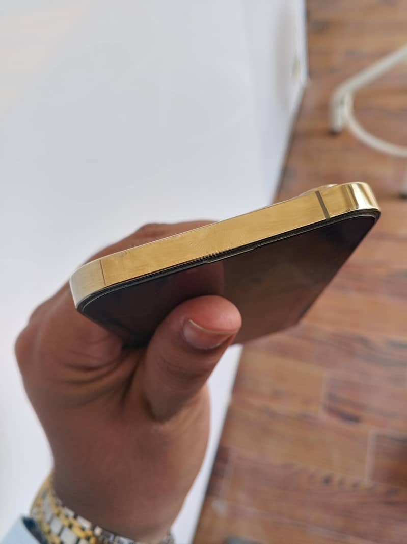 Apple iPhone 13 Pro Max 1
