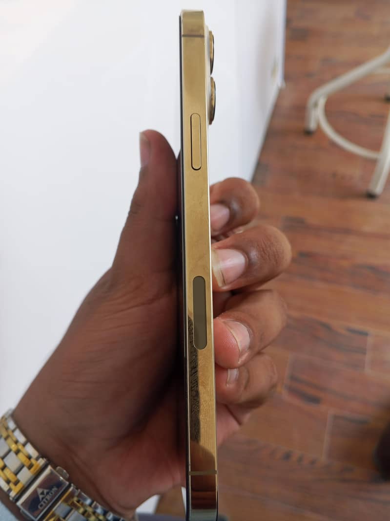 Apple iPhone 13 Pro Max 2