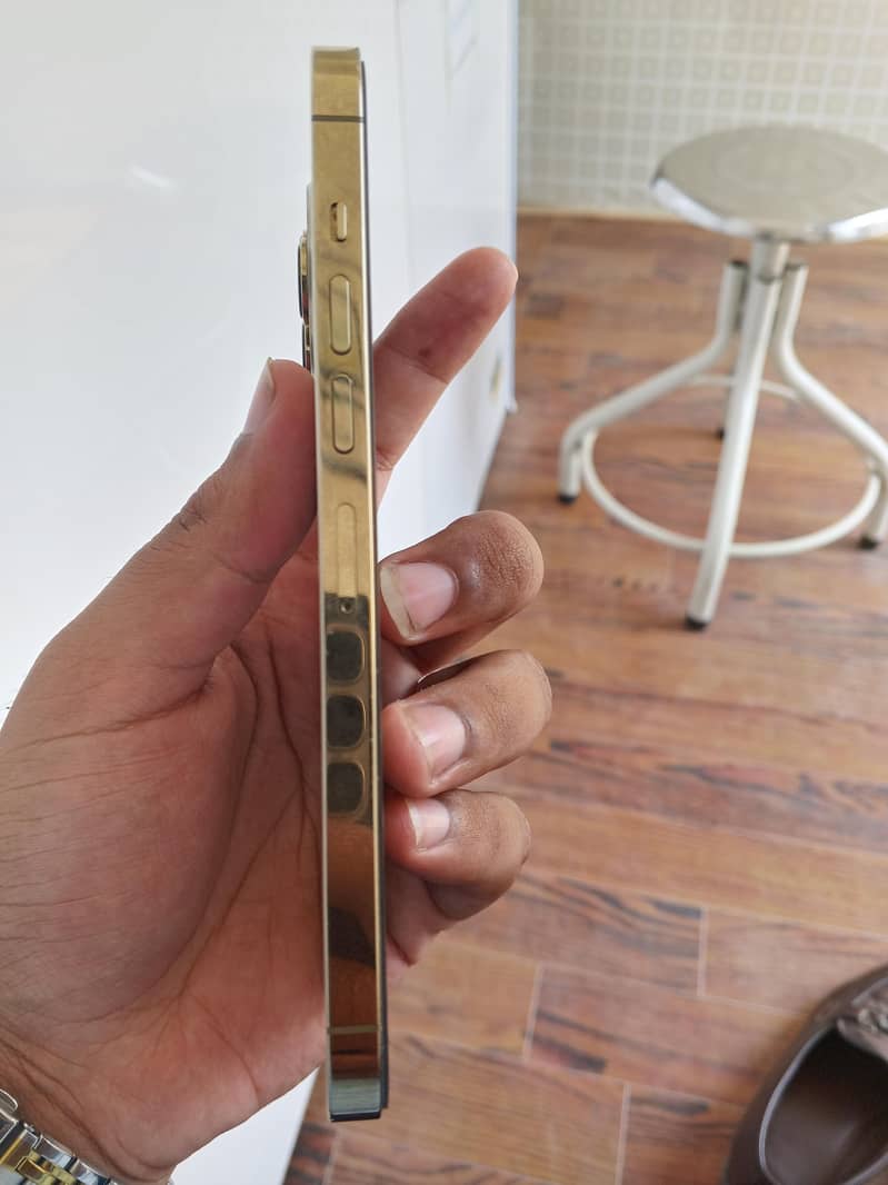 Apple iPhone 13 Pro Max 3