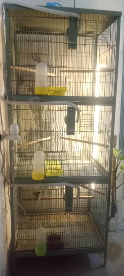 Birds Cage 3 portion