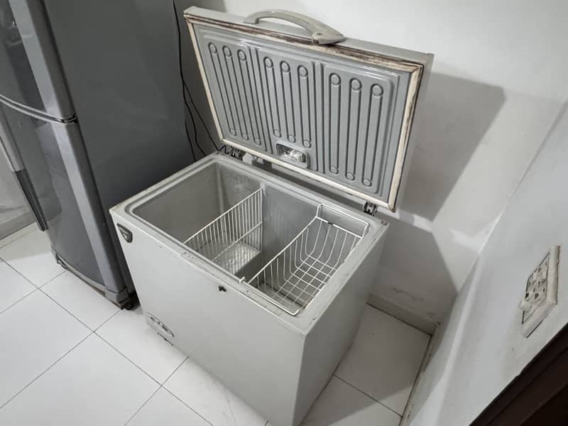 Waves D freezer 1