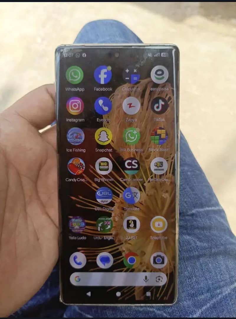 Google Pixel 6 Pro 1