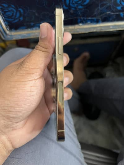 Apple iPhone 12 Pro
