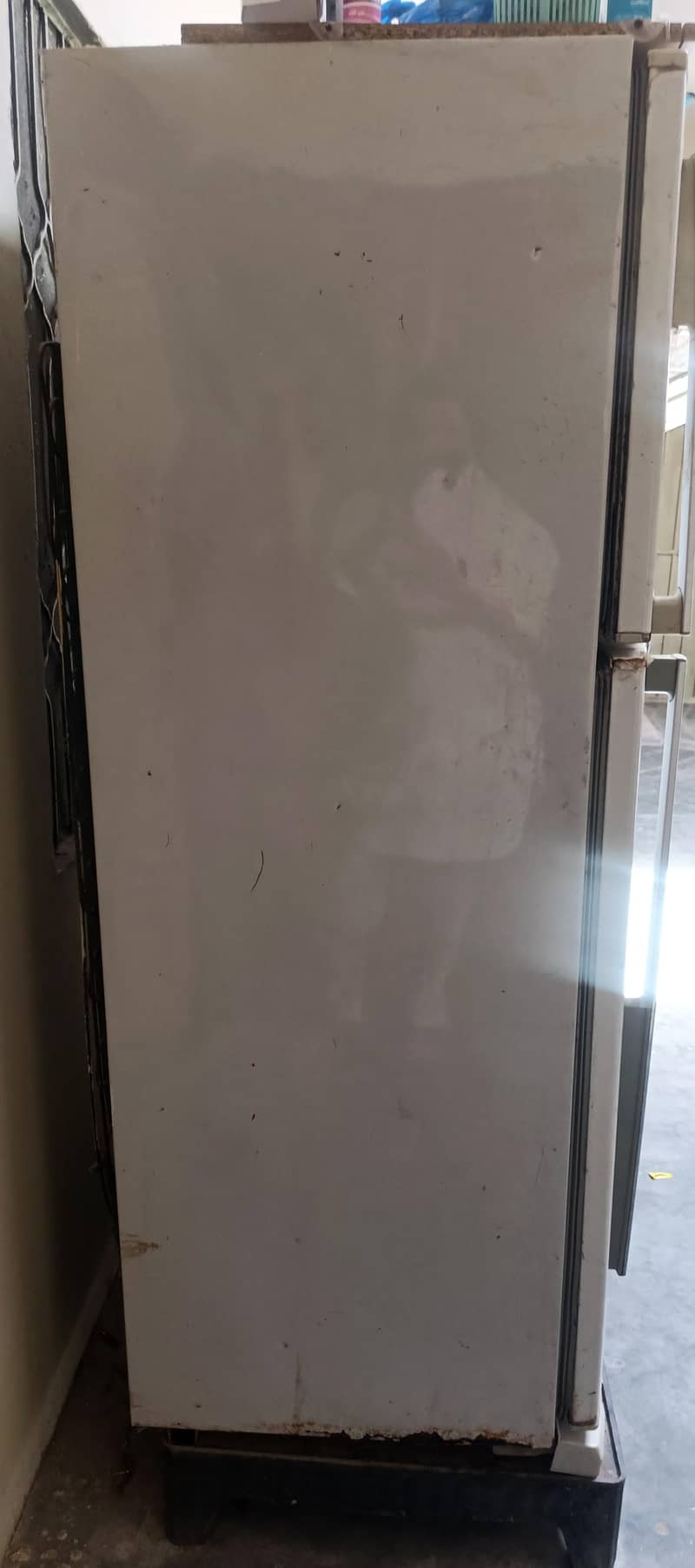 Dwonlance fridge medium size 1