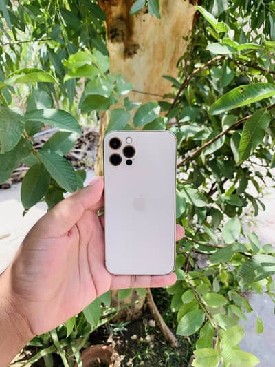 iPhone 12 Pro non pta exchange possible