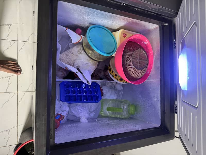 D freezer 1