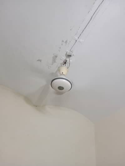 Ceiling Fan | A1 Condition | Excellent Cooling Performance