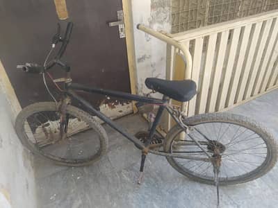 black cycle