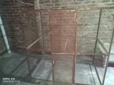 Hen cage size 5/5 feet and 3 feet wirth available for sale