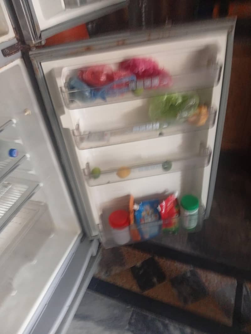 fridge 2