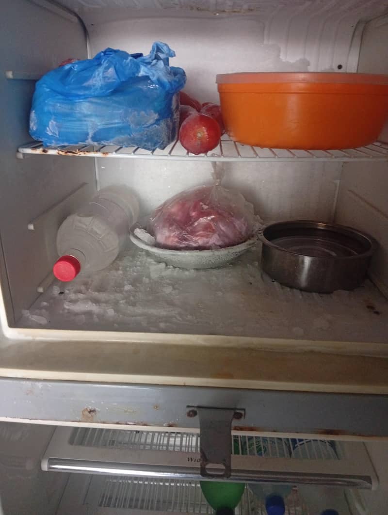 fridge 4