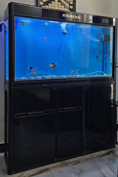 Risheng RS-1RS-20ES Arowana Fish tank aquarium