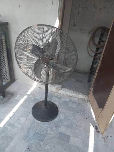 Royal 24" Pedestal Fan (Copper Winding)
