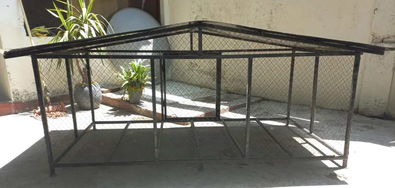 Hen/Bird Cage