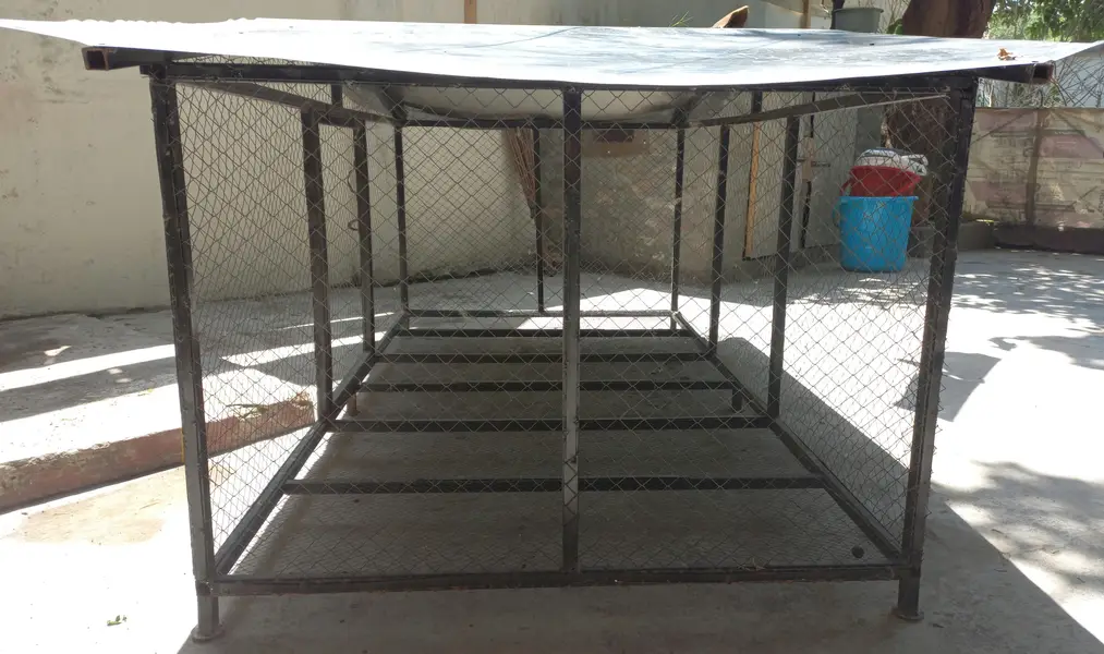 Hen/Bird Cage — photo 2