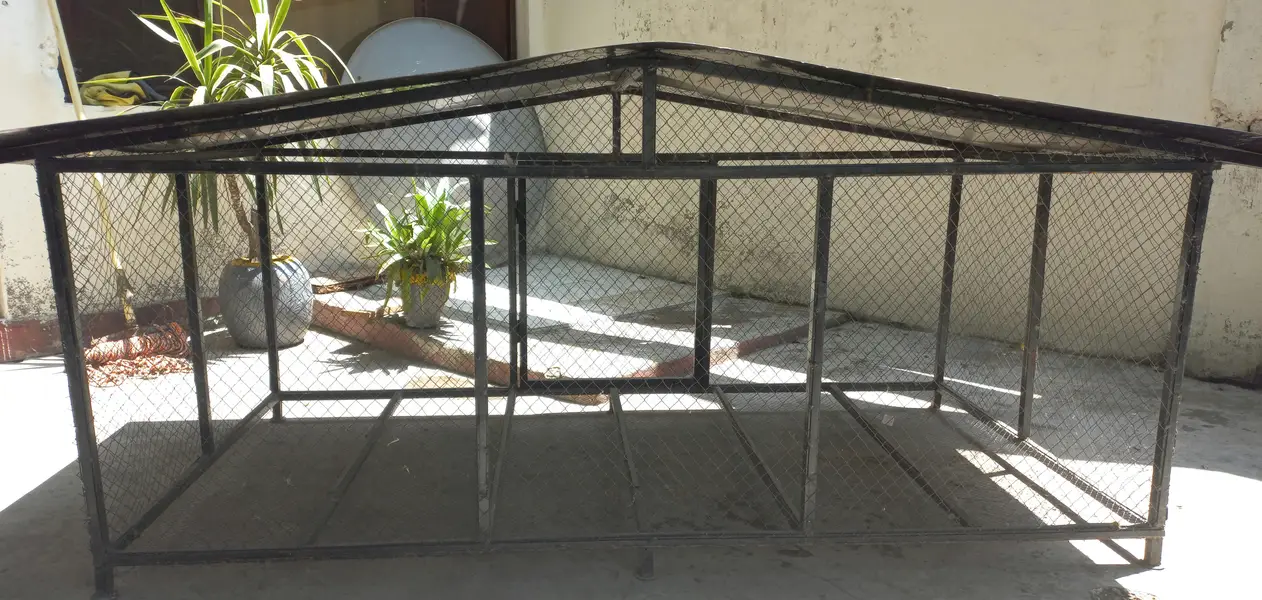 Hen/Bird Cage — photo 3