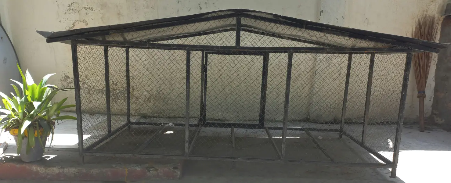 Hen/Bird Cage — photo 4