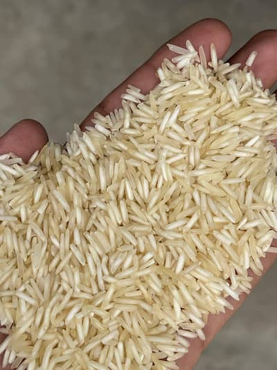 KAINAT 1121 STEAM RICE