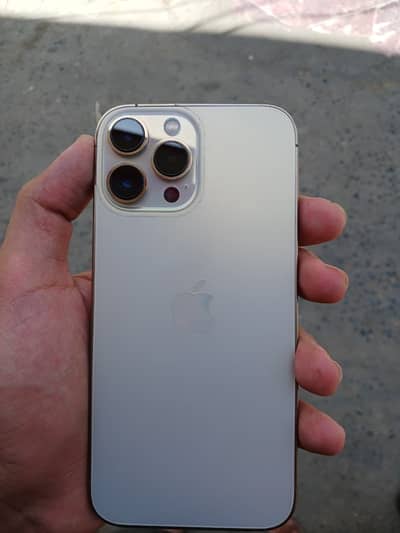 Apple iPhone 13 Pro Max