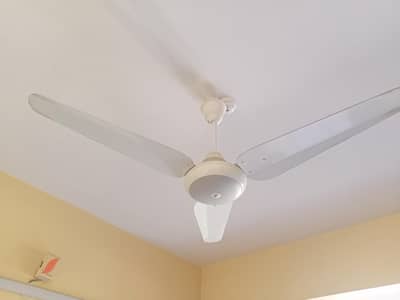 ceiling fan