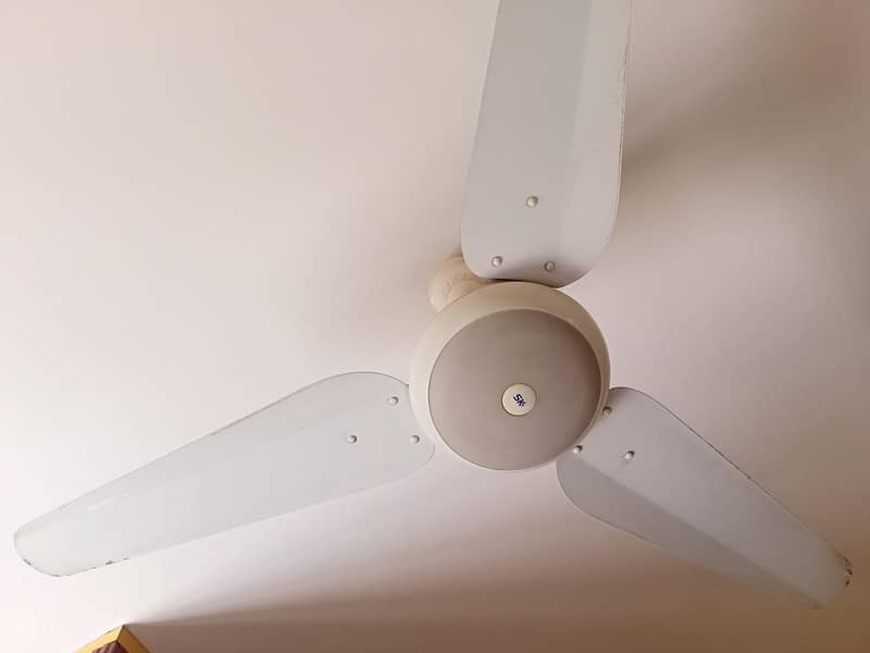 ceiling fan 1