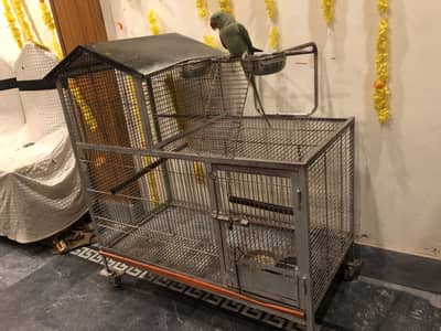 Only Cage  for sale 3225844099