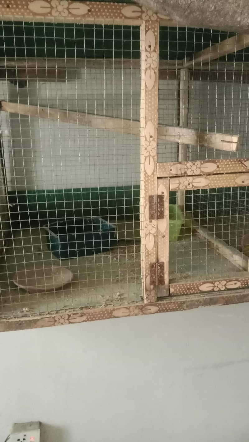 cages 2