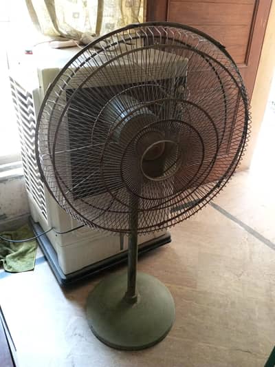 Pedistar fan